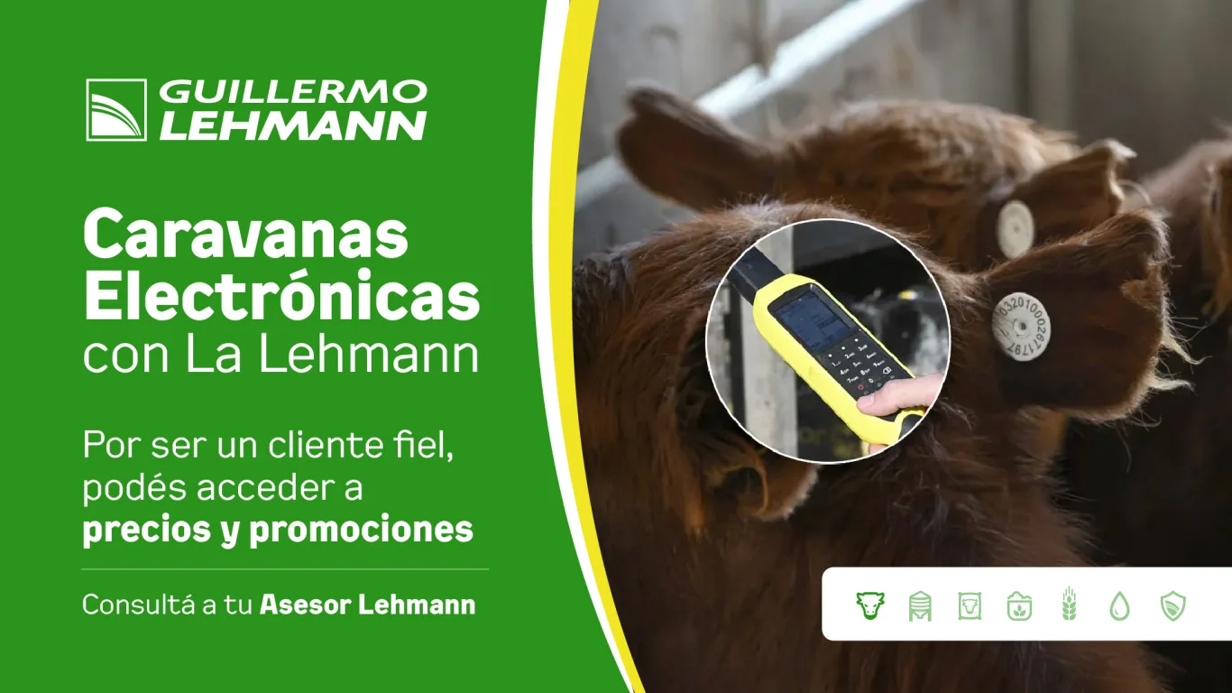 Accedé con La Lehmann a información sobre caravanas electrónicas