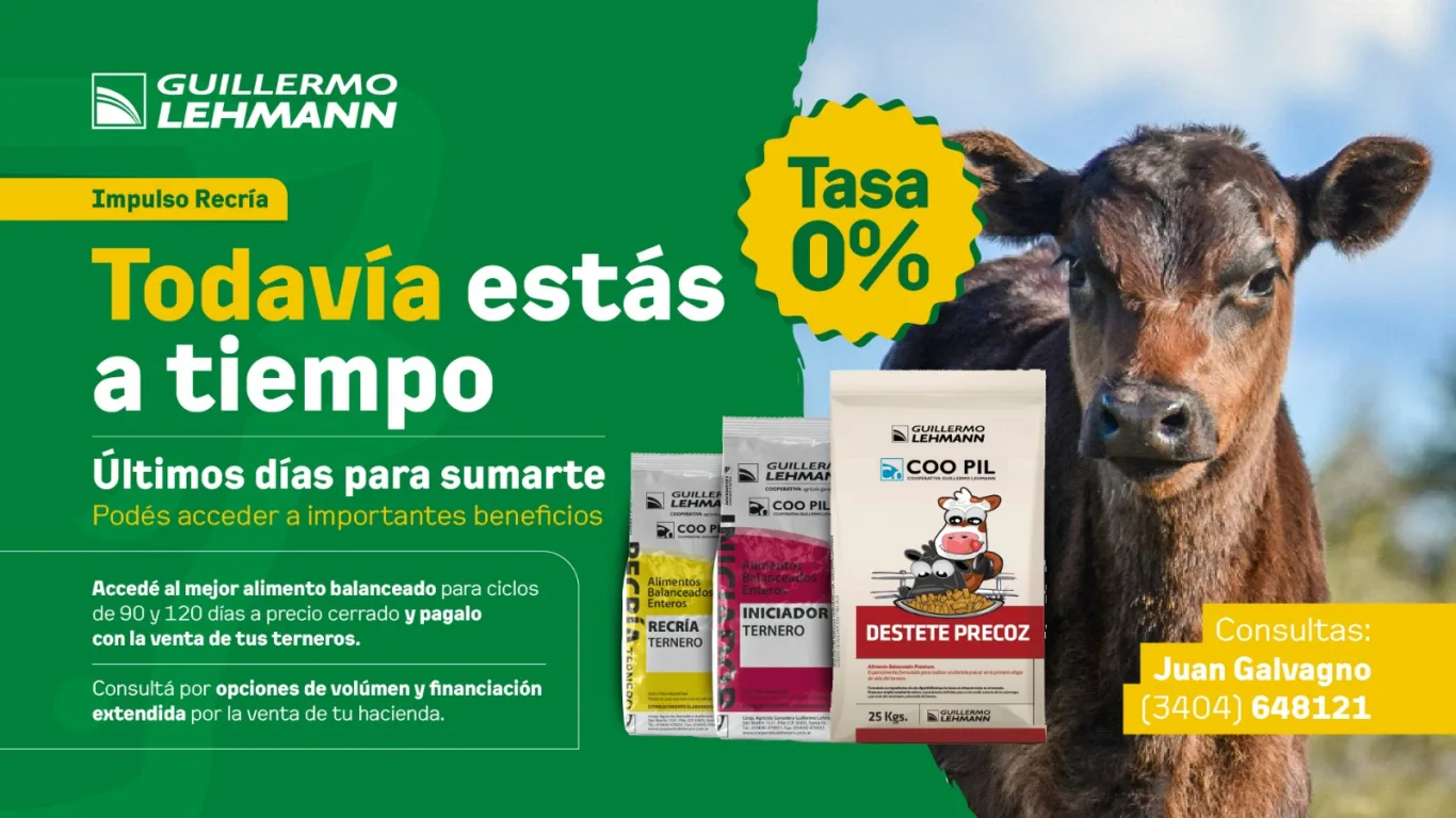 Programa Impulso Recría Raza Carne (2)