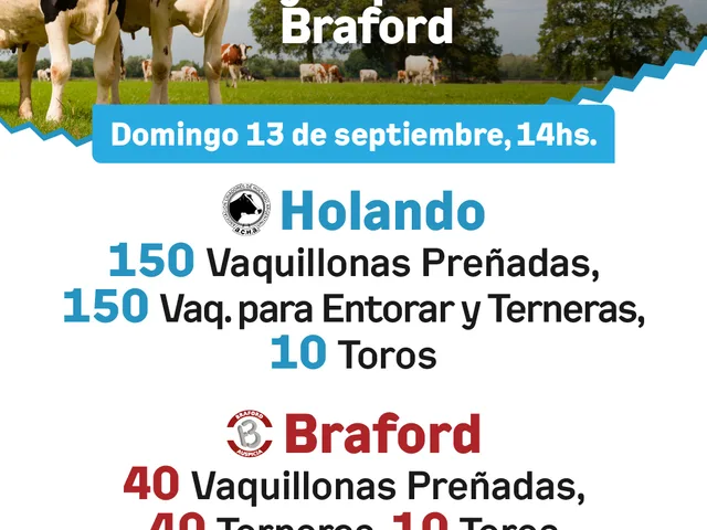 El Remate Holando desde Finaco 2026 