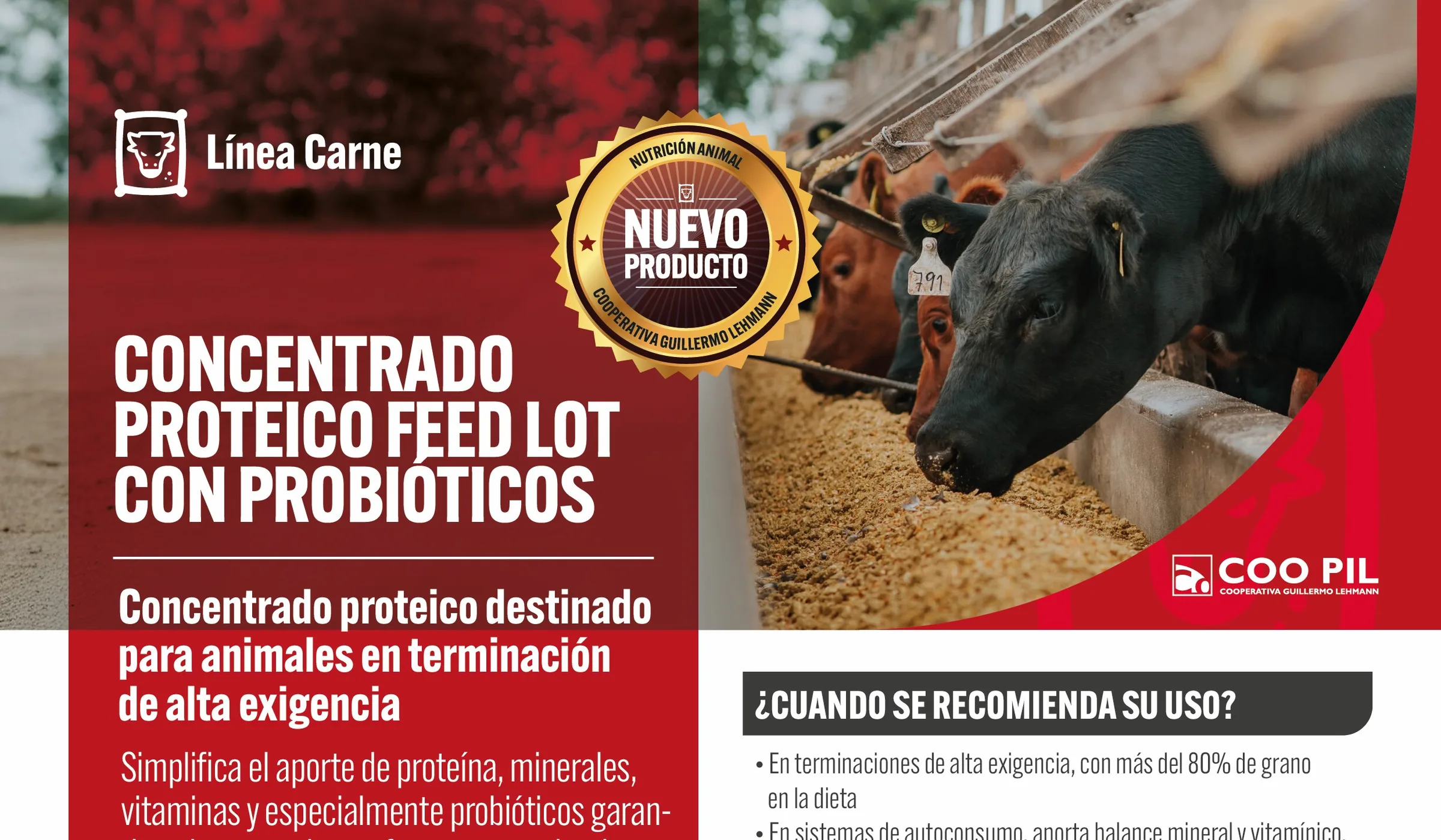 Concentrado Feed Lot con Probióticos, Línea Carne, La Lehmann