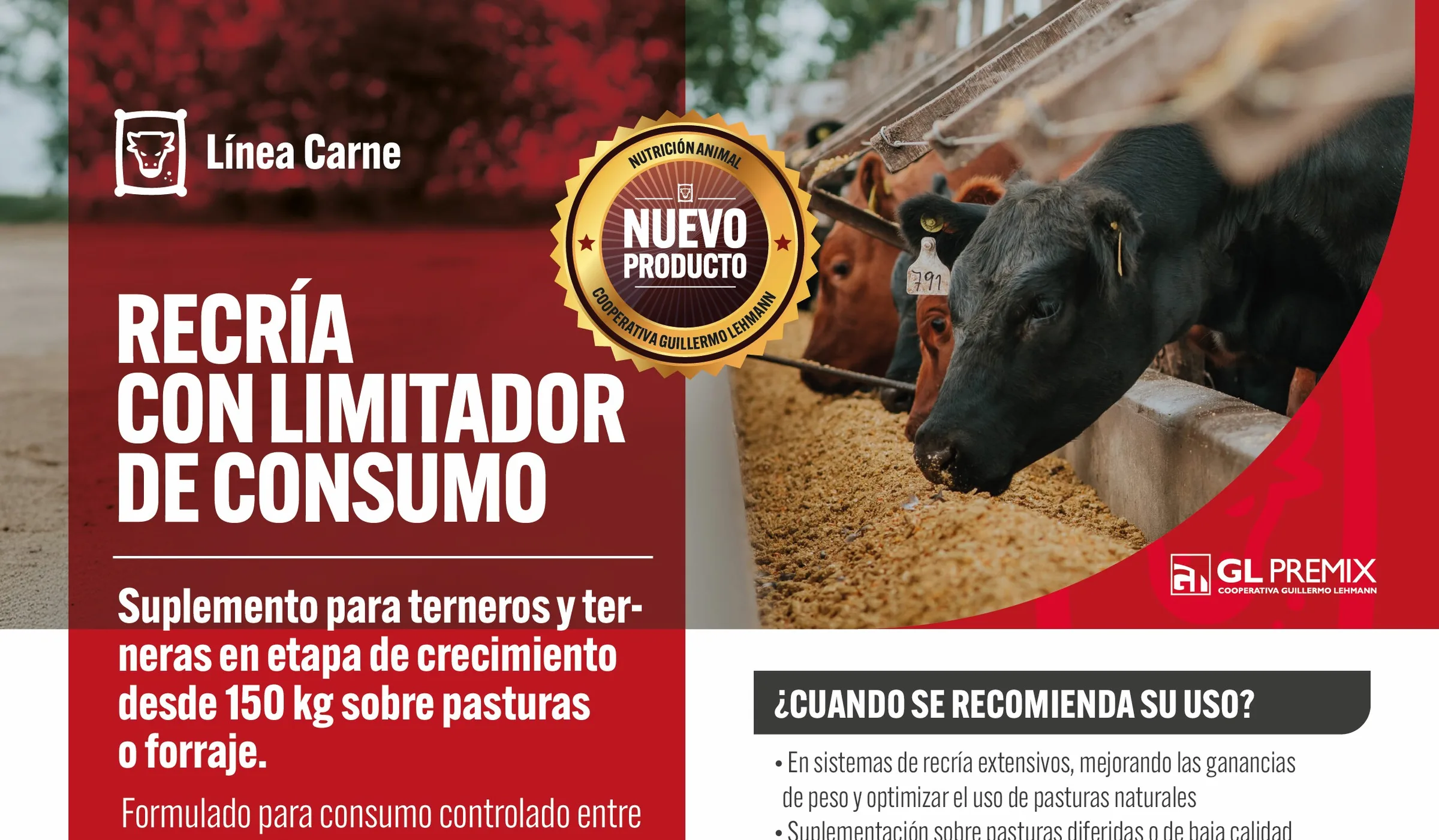Recría con limitador de consumo Línea Carne, La Lehmann
