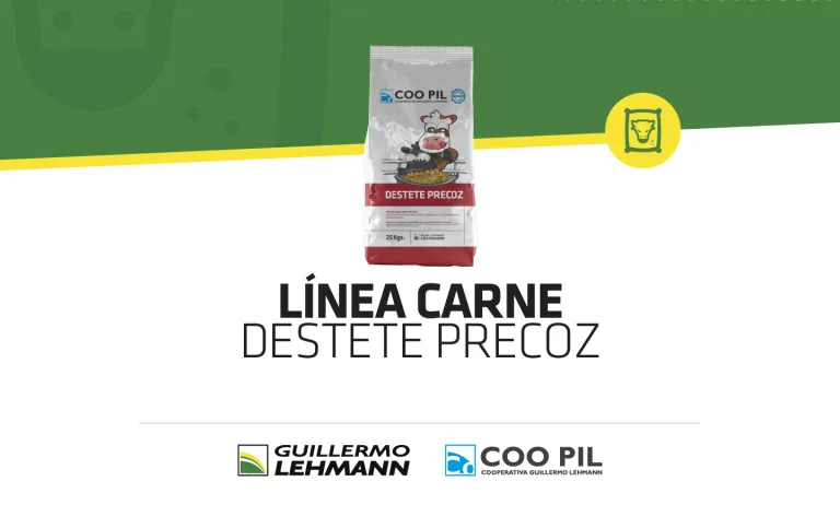 Línea Carne — Destete Precoz
