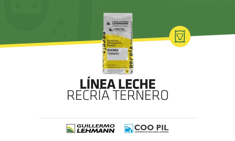 Línea Leche — Recría Ternero