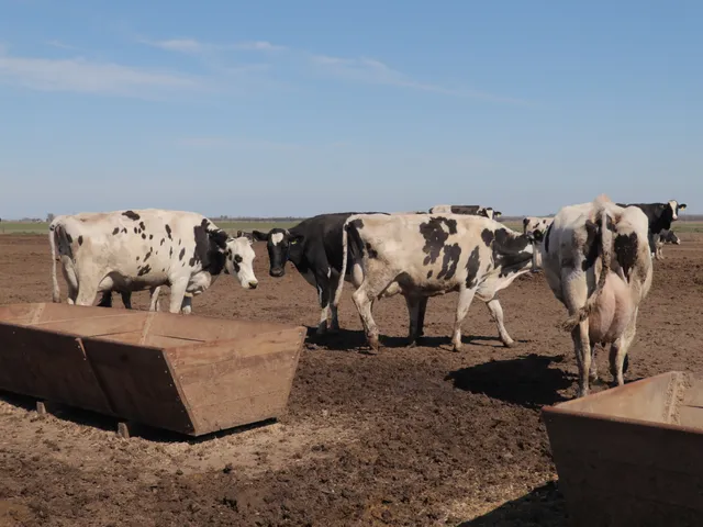 Determinación de Huellas Ambientales en Tambos