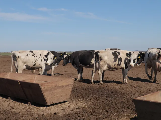 Determinación de Huellas Ambientales en Tambos