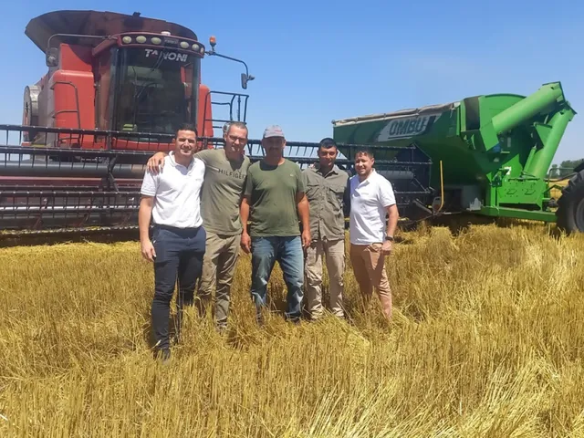 LA COSECHA DE TRIGO AVANZA AL 80% Y DEJA LOS MEJORES RINDES DE LOS ÚLTIMOS CINCO AÑOS