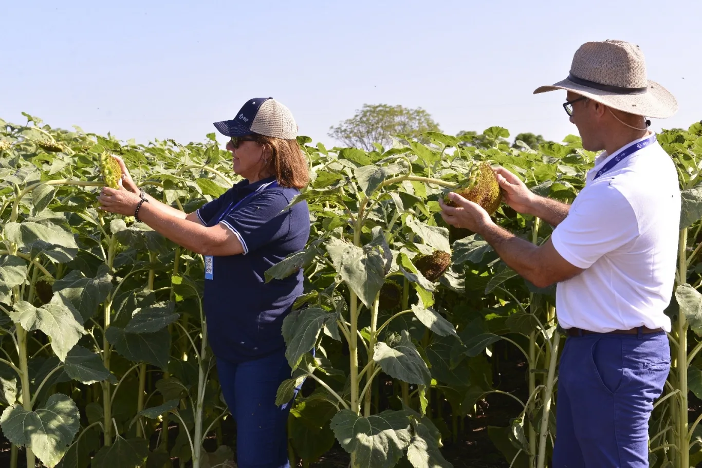 Más de 1000 Productores en la “a Campo Abierto” Organizada por la Lehmann y ACA