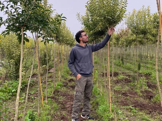 PROYECTO FORESTAL 2025: LA JUVENTUD DE LA LEHMANN LANZA UNA NUEVA EDICIÓN PARA SEGUIR SEMBRANDO FUTURO