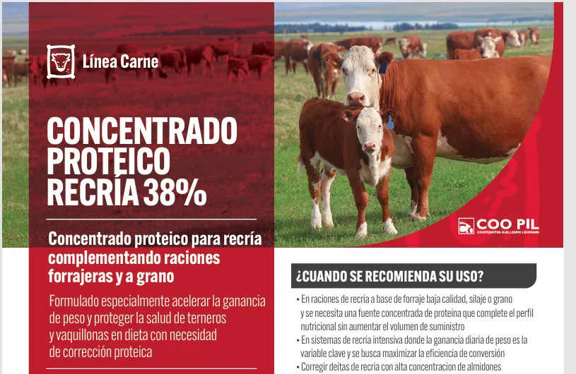 Concentrado Proteico Recría 38%, Línea Carne, La Lehmann