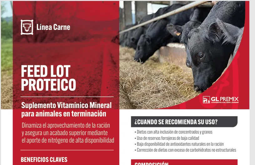 Feed Lot Proteico, Línea Carne, La Lehmann