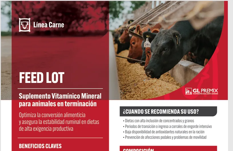Feed Lot, Línea Carne, La Lehmann