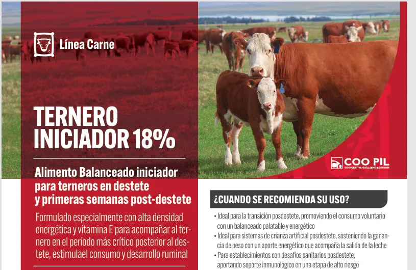 Ternero Iniciador 18%, Línea Carne, La Lehmann
