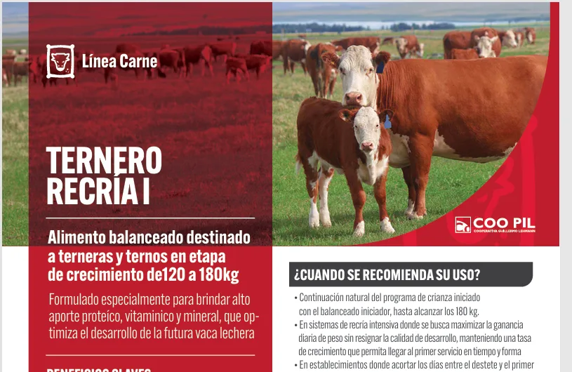 Ternero Recría I, Línea Carne, La Lehmann