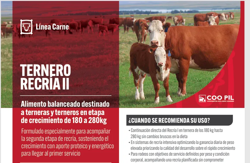 Ternero Recría II, Línea Carne, La Lehmann