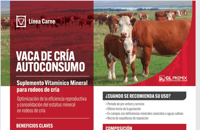 Vaca de Cría Autoconsumo, Línea Carne, La Lehmann