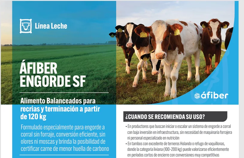Áfiber Engorde SF