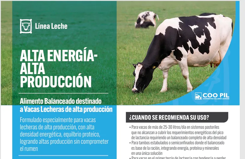 Alta Energía - Alta Producción