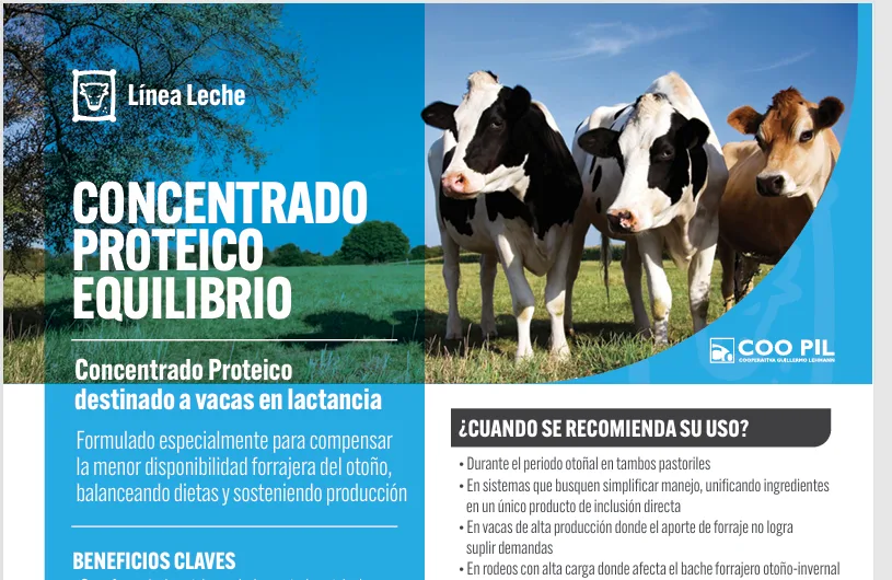Concentrado Proteico Equilibrio