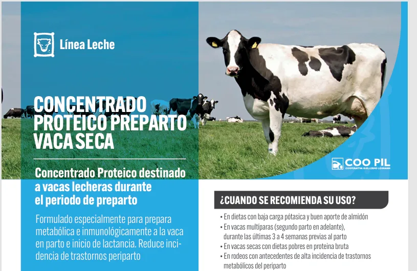 Concentrado Proteico Preparto Vaca Seca — Línea Leche