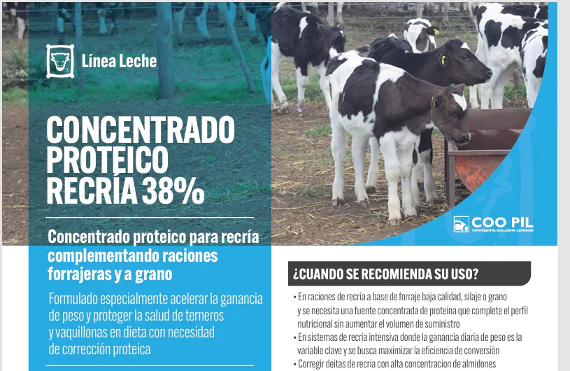 Concentrado Proteico Recría 38%