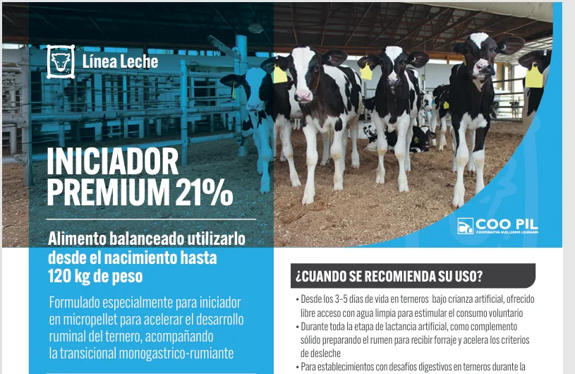 Iniciador Premium 21%