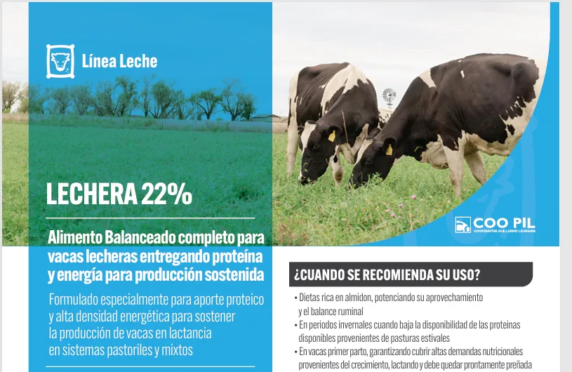 Lechera 22%