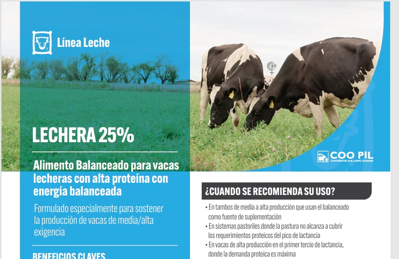 Lechera 25%