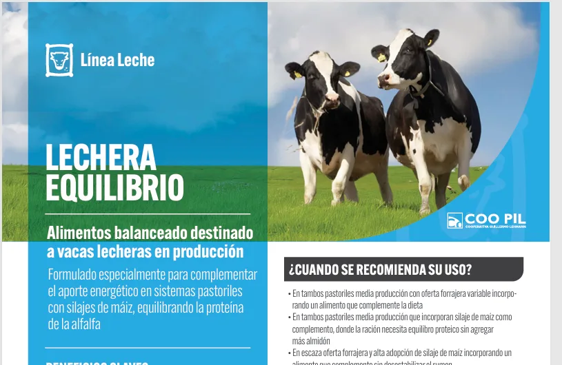 Lechera Equilibrio
