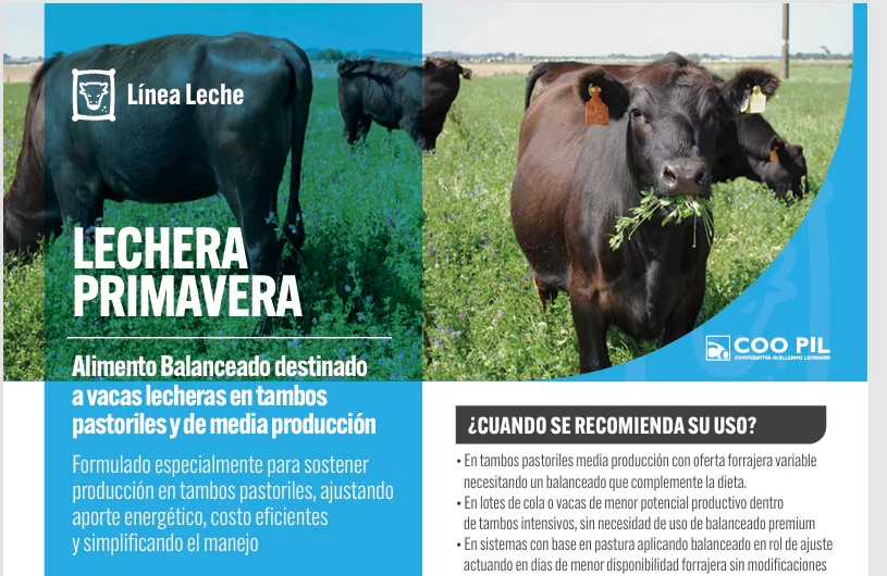 Lechera Primavera