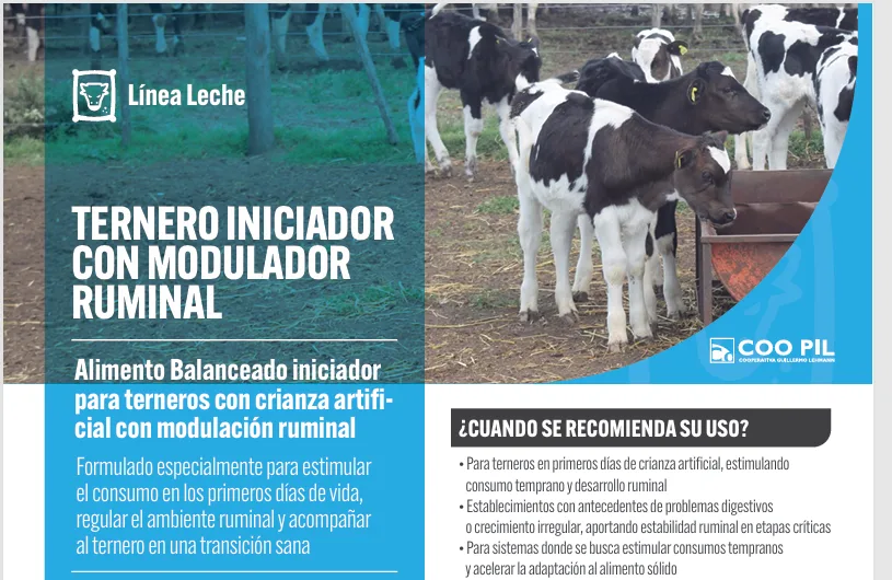 Ternero Iniciador con Modulador Ruminal