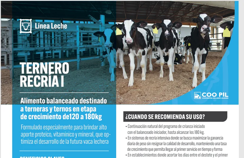 Ternero Recría I