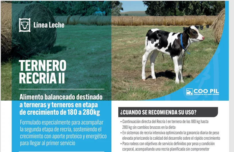 Ternero Recría II