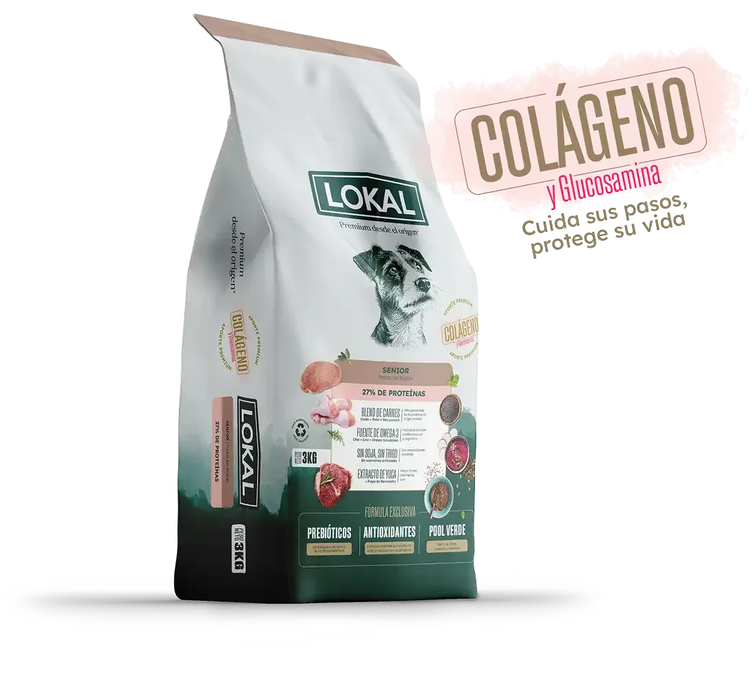 Perros Senior — Todas las Razas · LOKAL