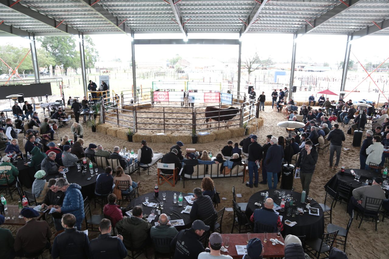 San Justo fue escenario de un gran remate de genética con Los Charabones, Don Pedro y Don Chiquito